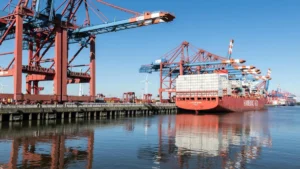 Paper food boxes export compliance and international shipping documentation for food packaging - Papacko