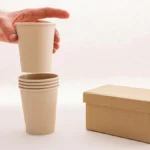 Papacko 2027 compostable packaging materials featuring next-generation biopolymers and sustainable innovations