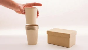 Papacko 2027 compostable packaging materials featuring next-generation biopolymers and sustainable innovations