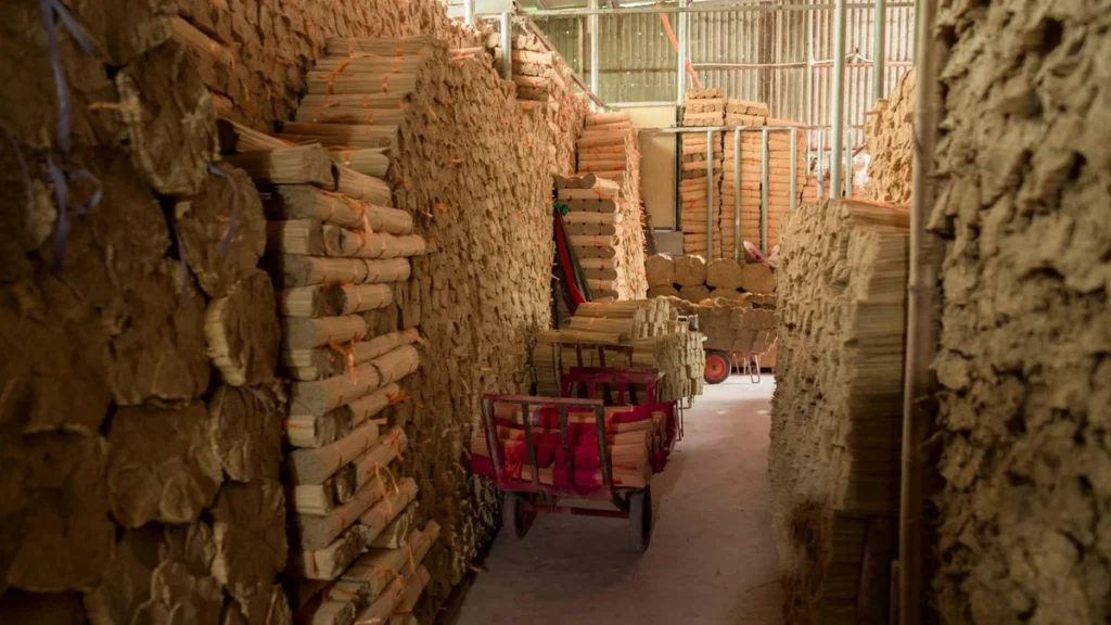 Paper cup wholesale buying showing bulk container shipping and import logistics - Papacko