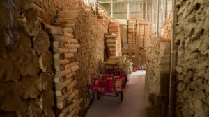 Paper cup wholesale buying showing bulk container shipping and import logistics - Papacko