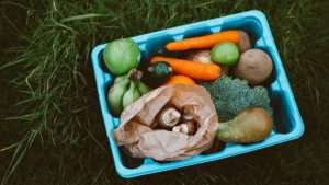 Biodegradable food containers for restaurants showing eco-friendly takeout packaging options - Papacko