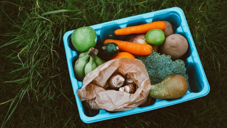 Biodegradable food containers for restaurants showing eco-friendly takeout packaging options - Papacko