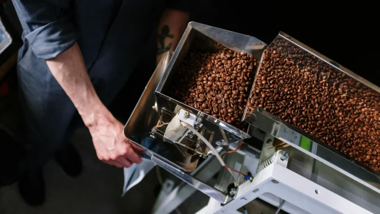 Custom branded food packaging showing professional logo printing on paper cups and takeout containers - Papacko