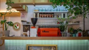 Custom printed paper cups with professional branding and logo designs for cafes and businesses - Papacko