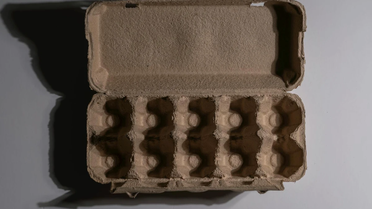 Kraft paper lunch boxes for eco-friendly food service and sustainable takeaway packaging - Papacko environmental solutions