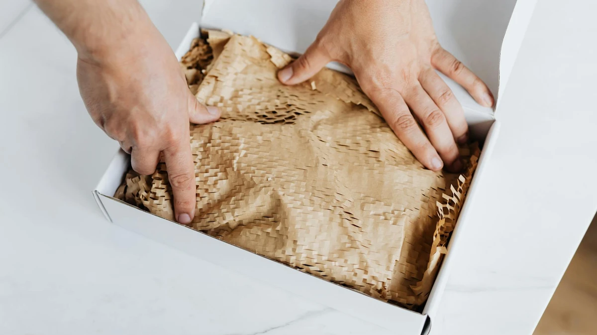 Papacko eco packaging market growth data visualization showing sustainable food packaging trends for cafés and restaurants