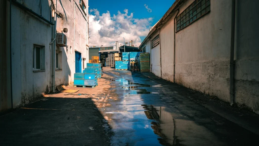 Papacko paper cups wholesale supply chain with containerized shipping and bulk distribution for B2B procurement