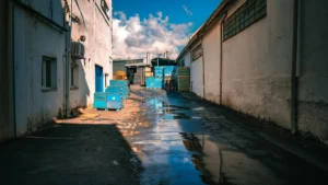 Papacko paper cups wholesale supply chain with containerized shipping and bulk distribution for B2B procurement