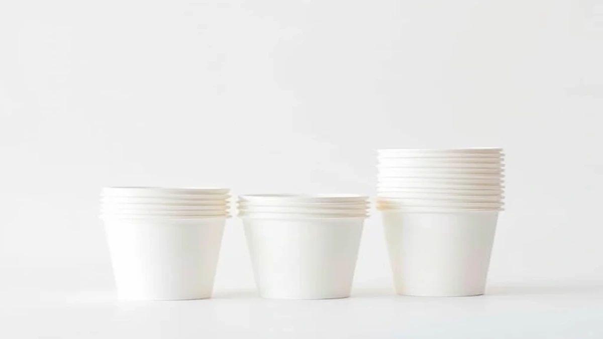 Papacko wholesale paper cups - professional product visualization
