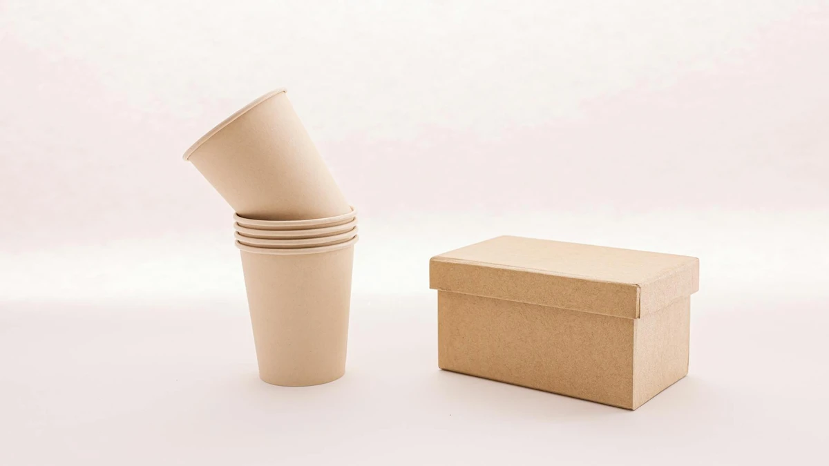 Papacko modern sustainable food packaging products displayed with eco-friendly materials and certifications