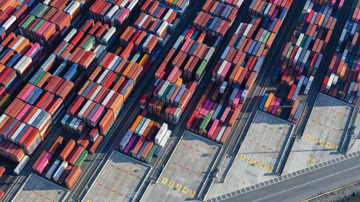 Container shipping port for paper cup wholesale import logistics