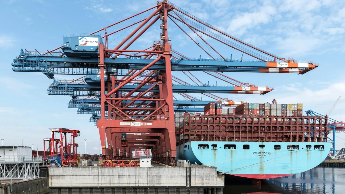 International shipping container loading for bulk paper cup exports - Papacko global logistics