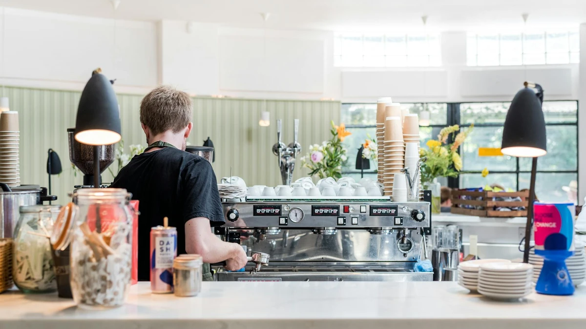 Papacko Busy bubble tea shop counter with colorful drinks in branded paper cups with sealed tops