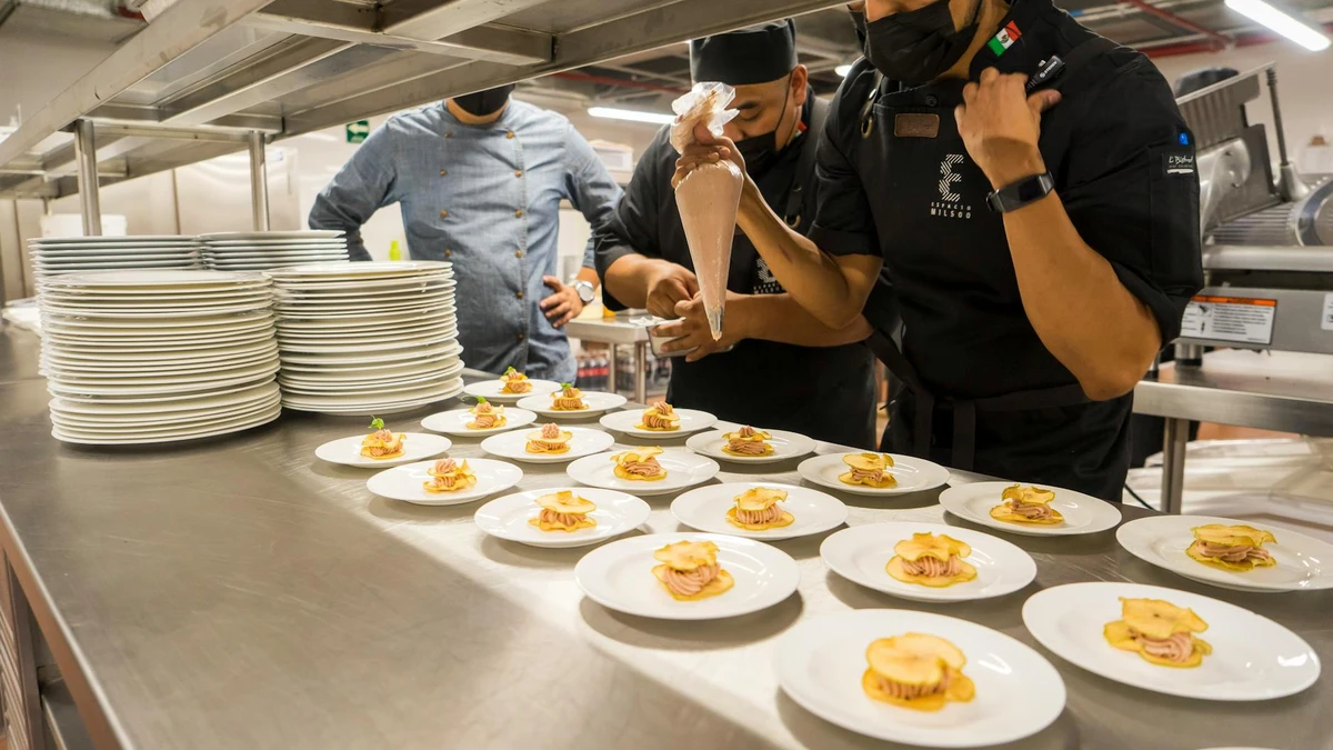 Papacko Airline galley kitchen with flight attendant preparing meals, showing organized storage of meal cont