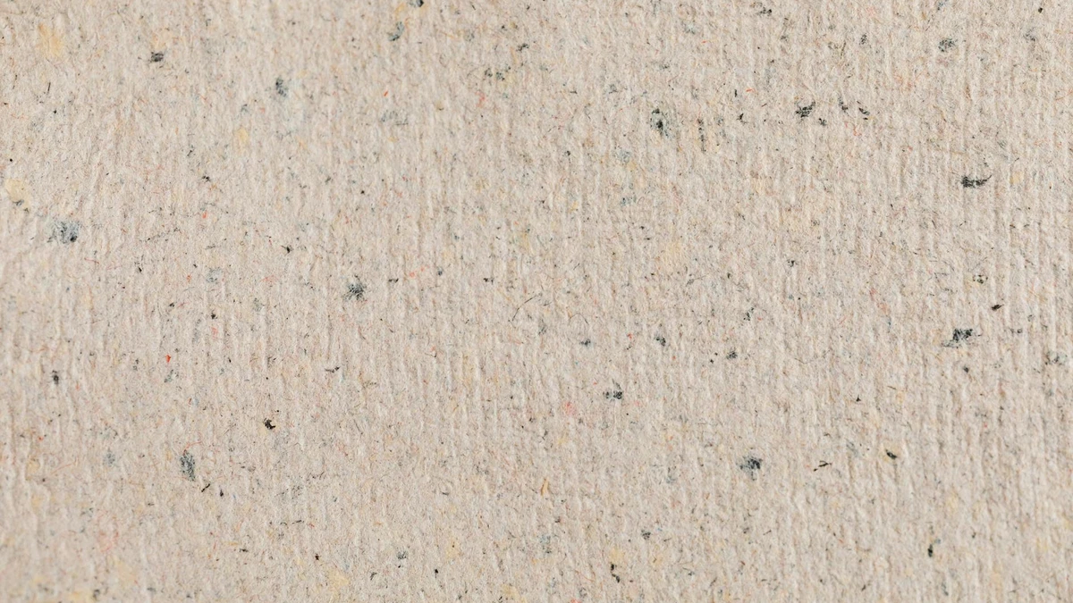 Papacko recycled paper products and eco-friendly café accessories with natural sustainable materials