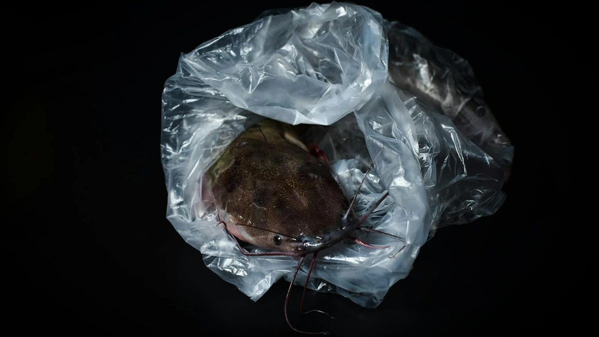 Papacko cross-section or close-up of frozen food packaging showing coating layers and moisture protection