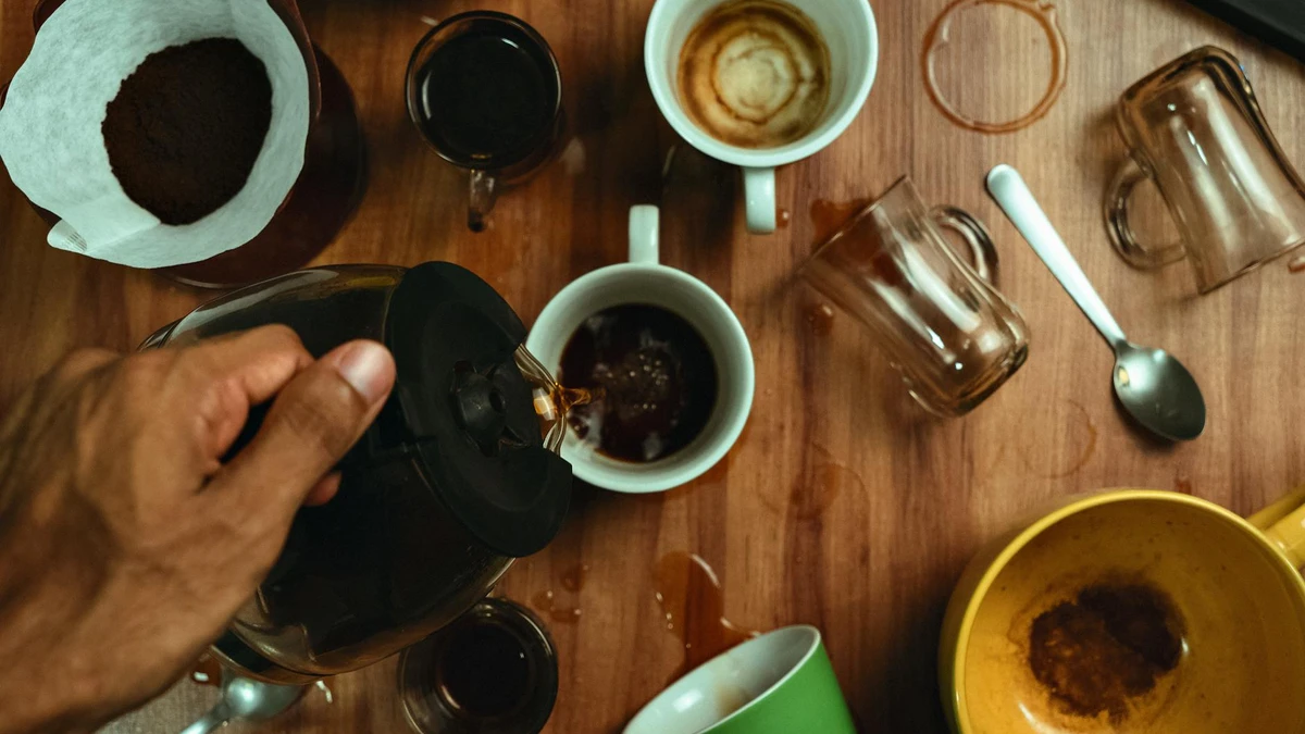 PLA cups and compostable cup coating guide