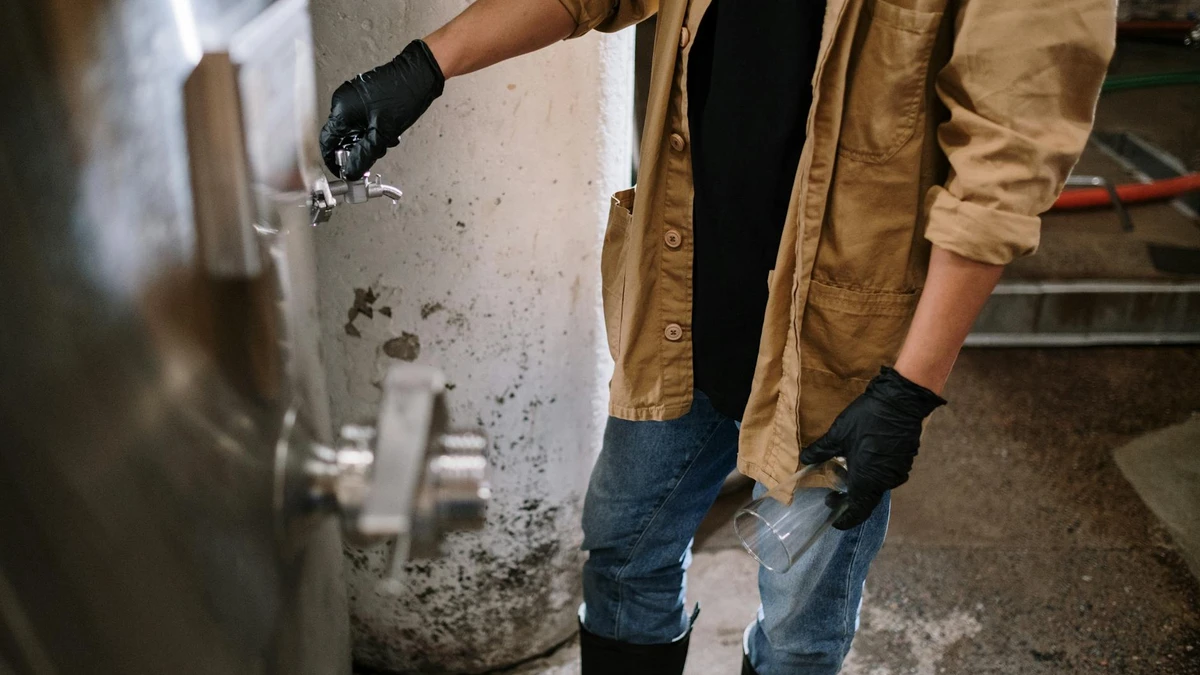 Papacko Quality control inspector examining paper cups on production line with testing equipment