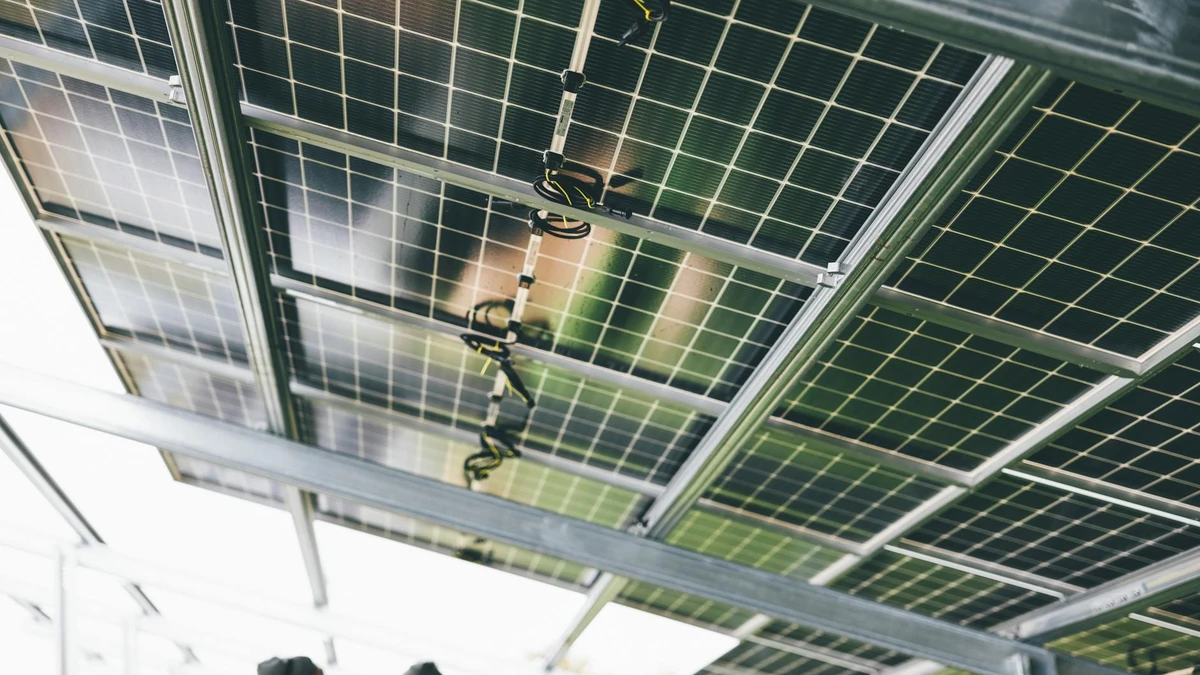 Papacko sustainability green environment renewable energy solar panels