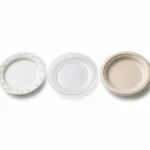 Five disposable plate types compared side by side for wholesale foodservice buying decisions.